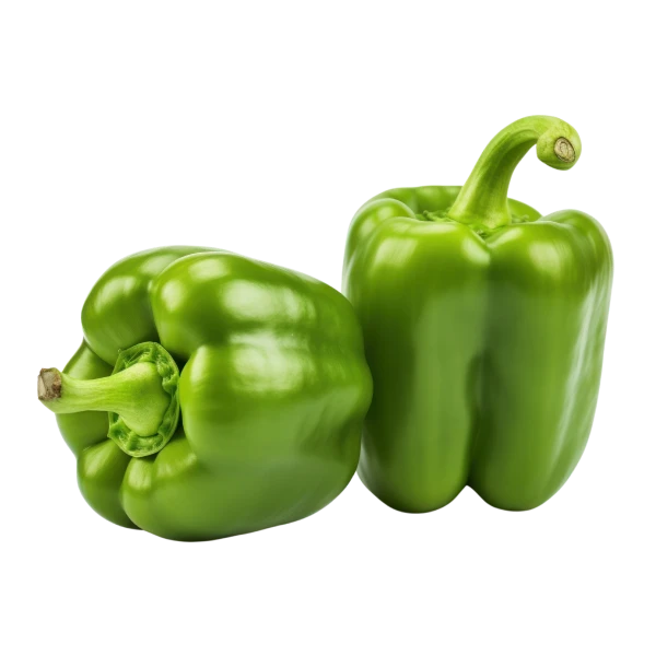 Capsicum