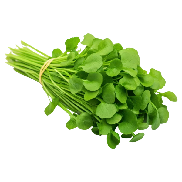 Fresh Methi (Fenugreek)
