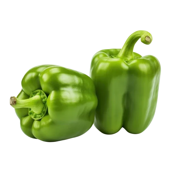 Capsicum