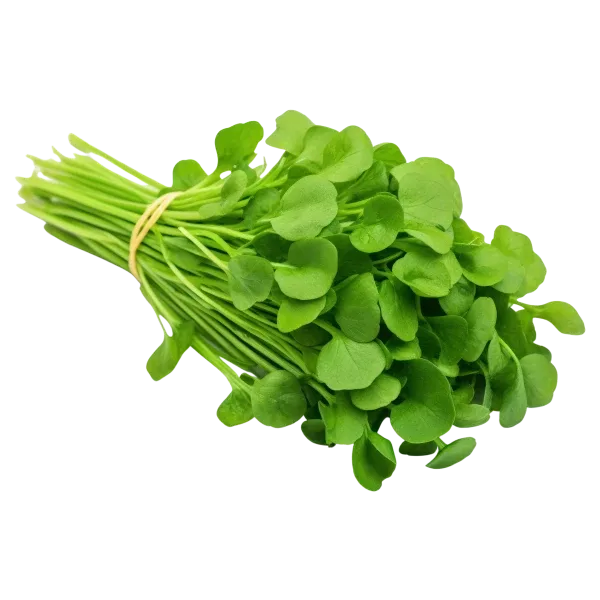 Fresh Methi (Fenugreek)