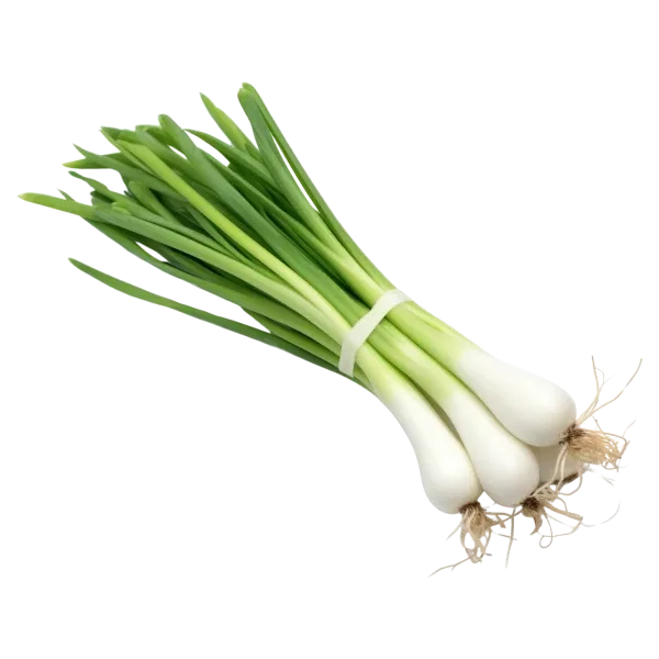 Spring Onion